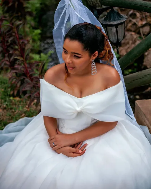 JAEDEN Robes de soirée Longues Robes de Bal Dentelle Mousseline de Soie col Rond Robes de mariée mère de la mariée Robe à Manches Longues Vêtements et accessoires JAEDEN Robes de soirée Longues Robes de Bal Dentelle Mousseline de Soie col Rond Robes de mariée mère de la mariée Robe à Manches Longues Vêtements et accessoires